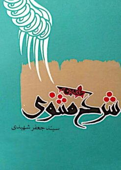 Sharḥ-i Mas̲navī (8 jildī)