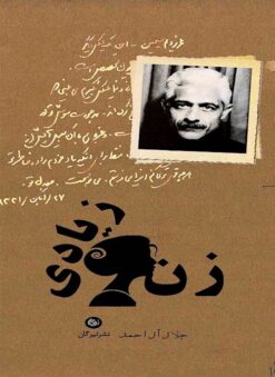 Zan-i ziyādī